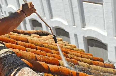 Démoussage de toiture à Corme Ecluse